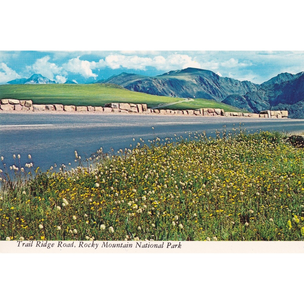 Vintage Rocky Mountain National Park Postcard Trail Ridge Road Longs Peak Chrome